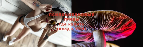 ECSTASY Балахна