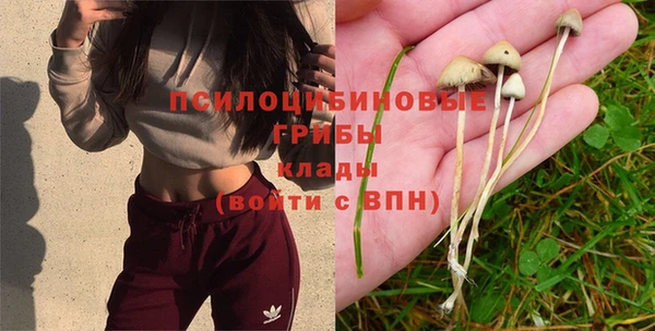 ECSTASY Балахна