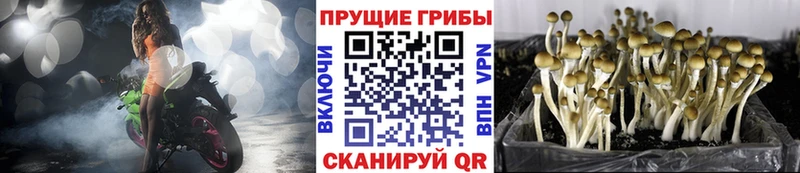 Галлюциногенные грибы ЛСД  дарнет шоп  Спасск-Рязанский 